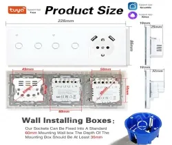 Smart socket TY-228-BB004Y-C-NL