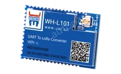 LoRa module