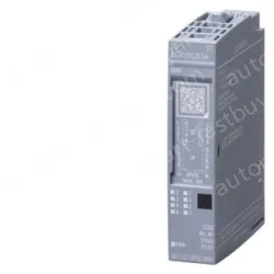 Digital output modules