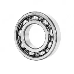 6000- 2RS1 Rubber cap seal