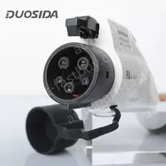 Type1 - UK Plug 13A-10m Leaf charging cable