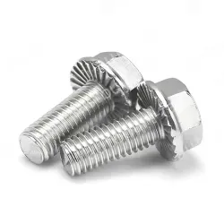 Hexagonal flange screws